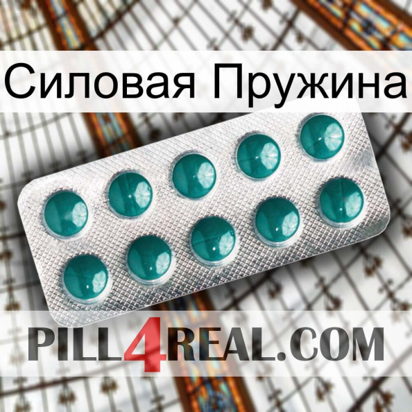 Силовая Пружина dapoxetine1.jpg